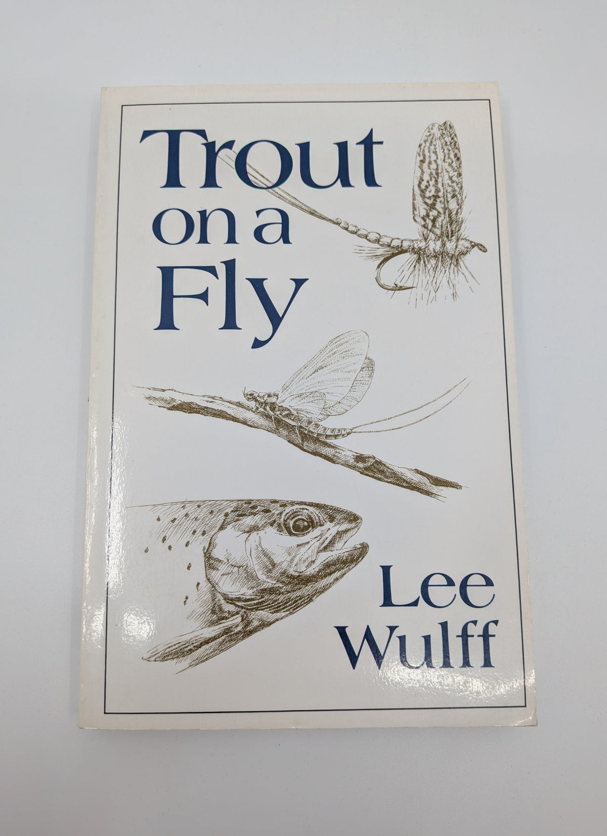 Trout on a Fly