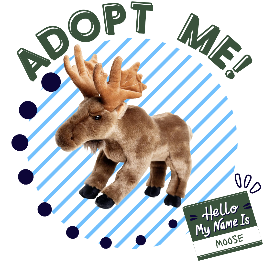 Adopt a Moose Plushie