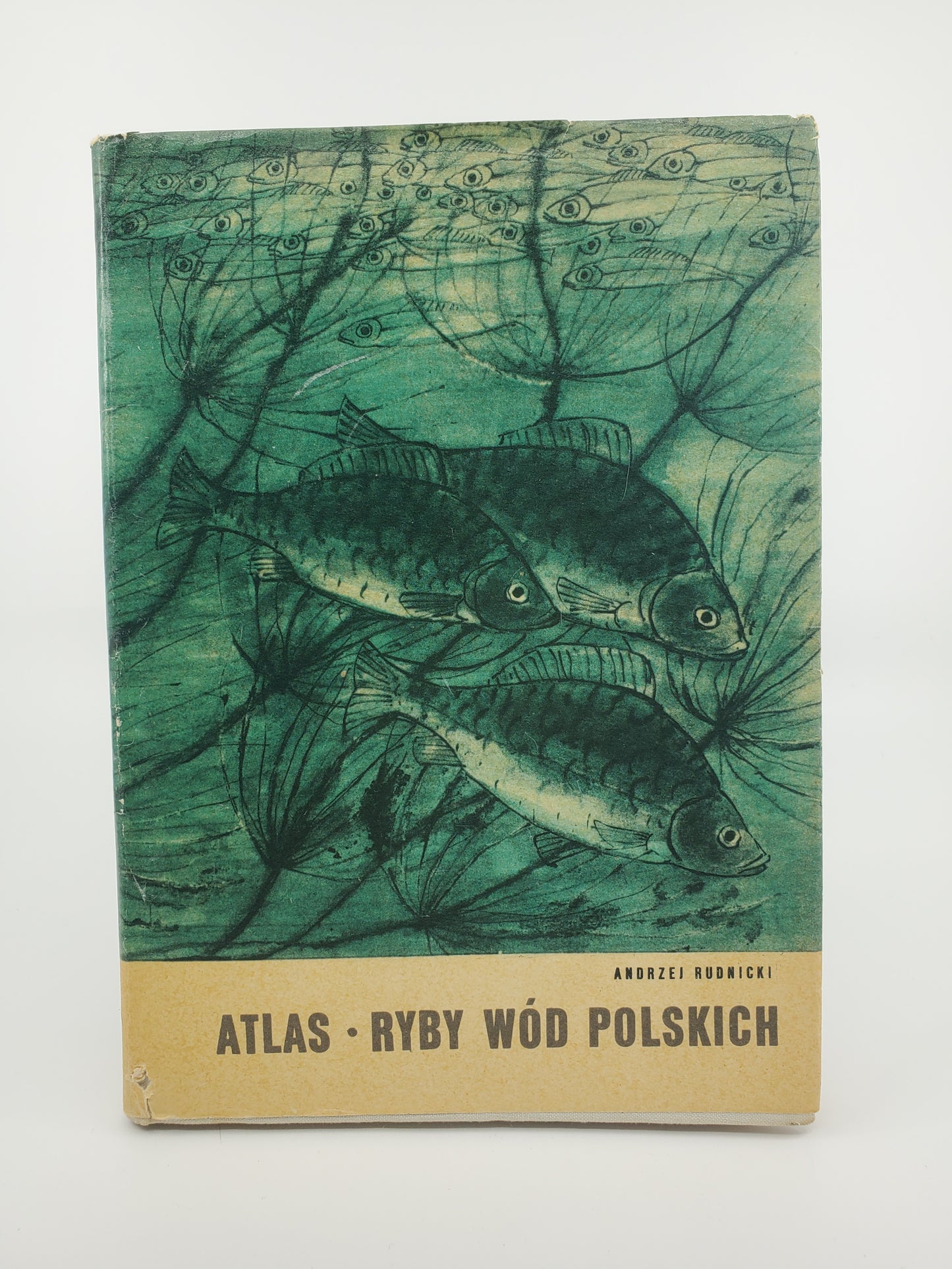 Atlas: Ryby Wod Polskich