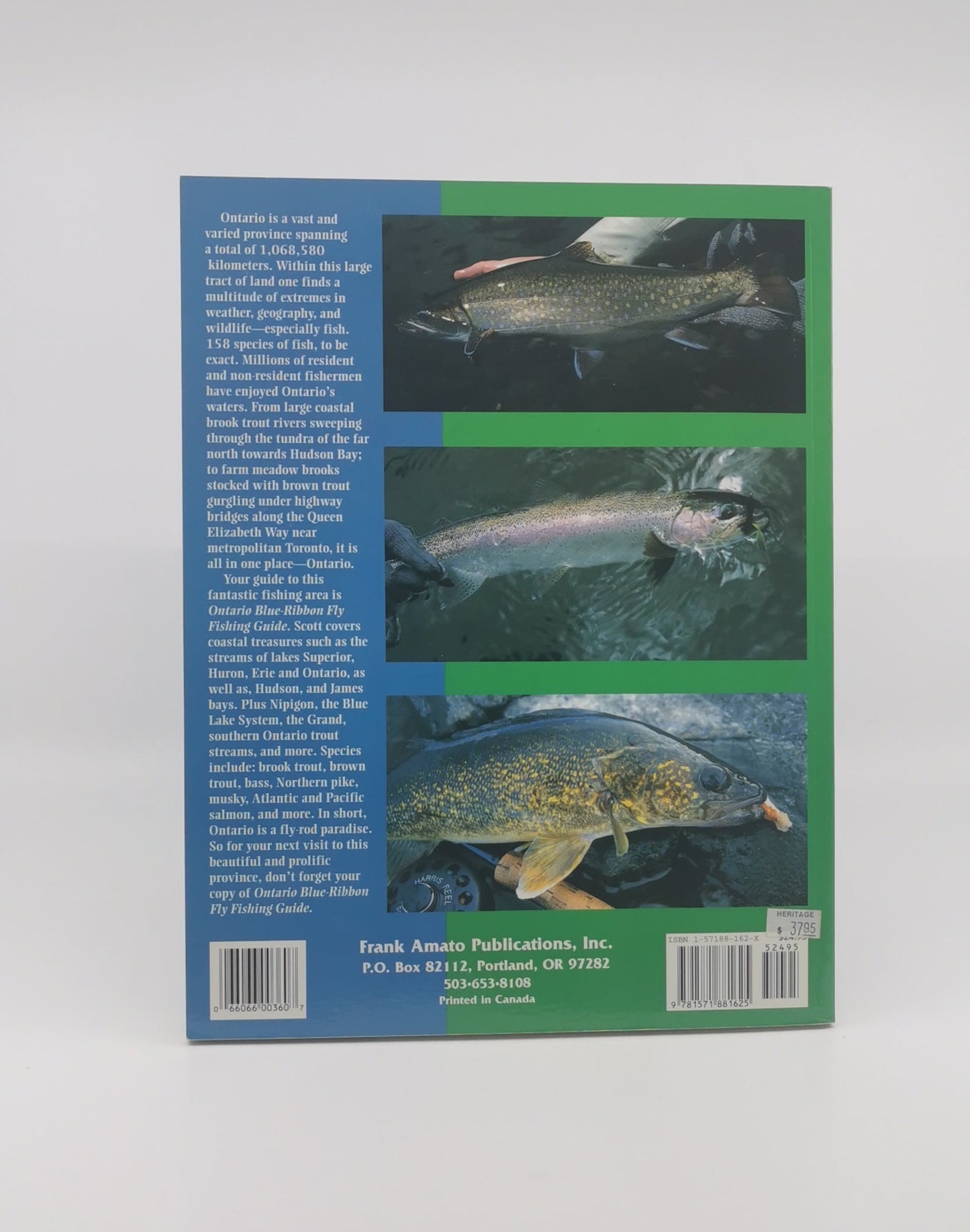 Ontario Blue-Ribbon Fly Fishing Guide