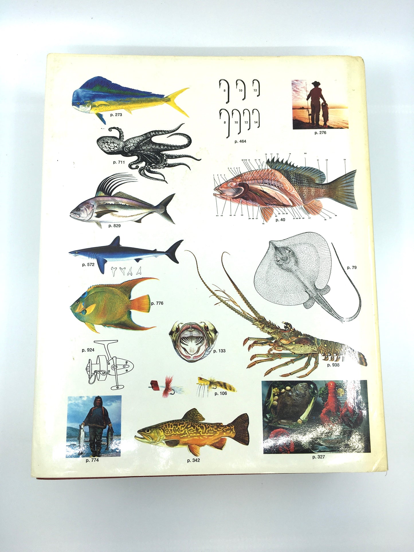 New Standard Fishing Encyclopedia