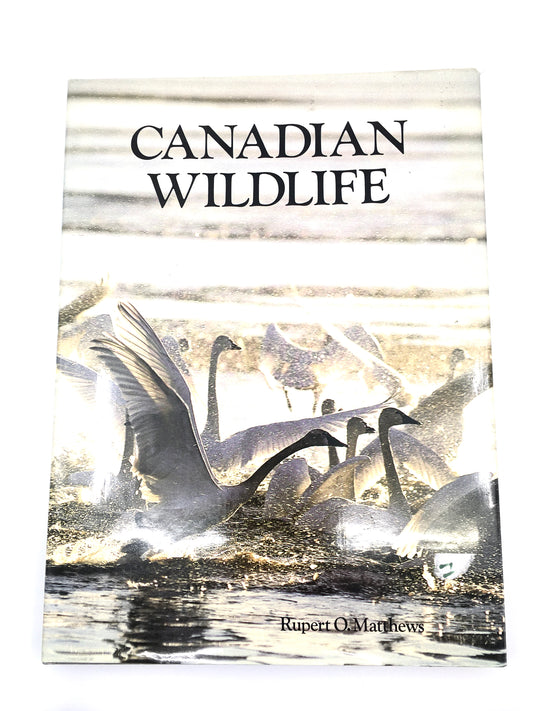 Canadian Wildlife