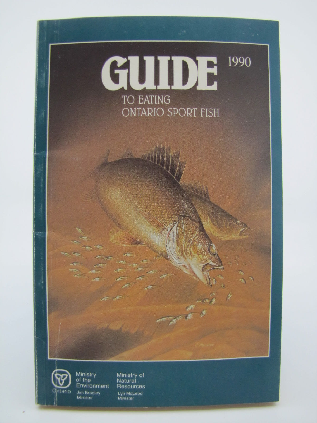 Guide to Eating Ontario Sport Fish 1990