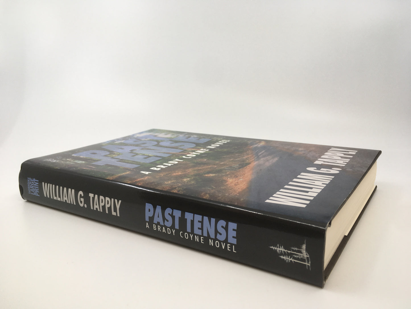 Past Tense: A Brady Coyne Novel