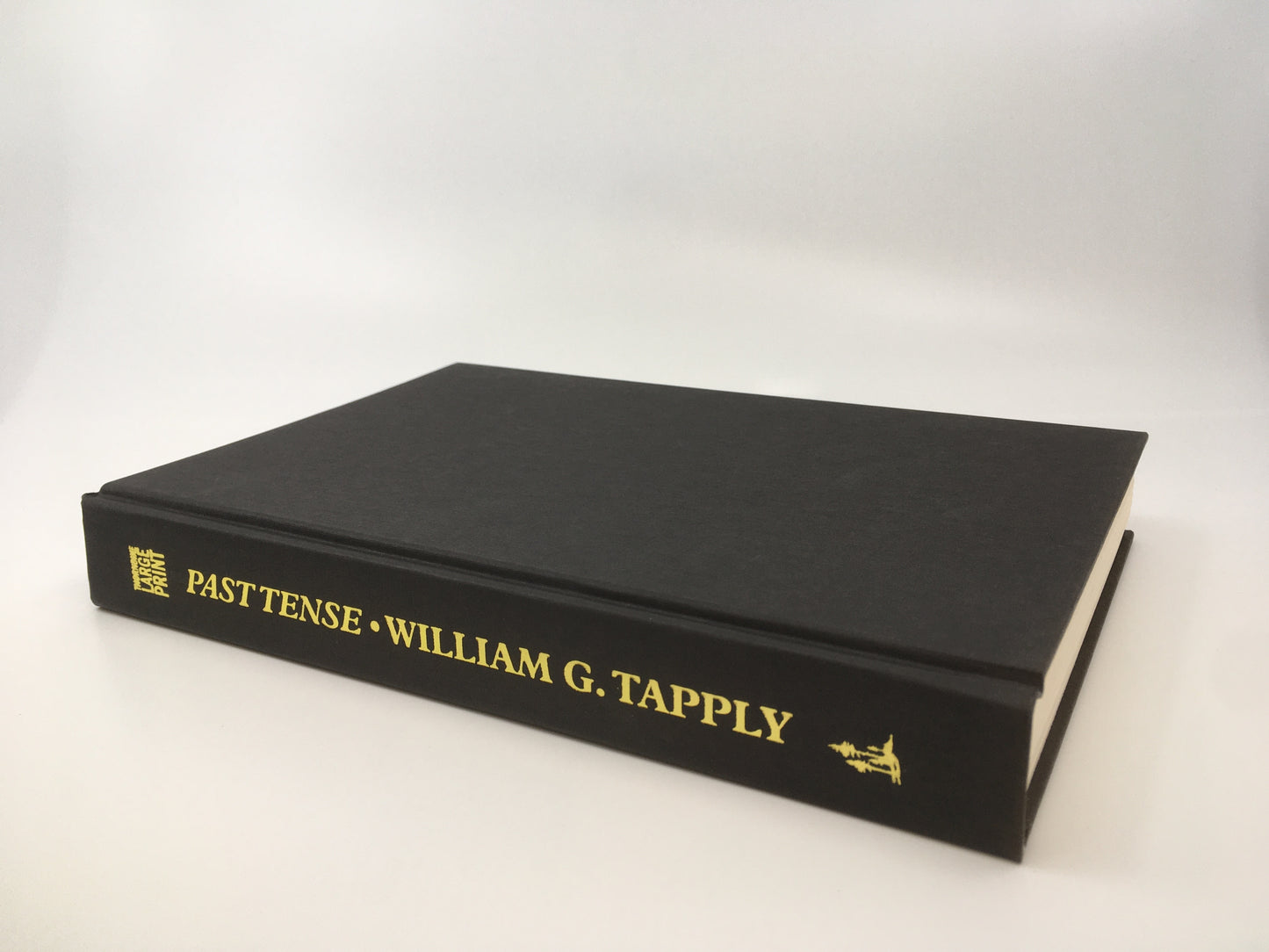 Past Tense: A Brady Coyne Novel