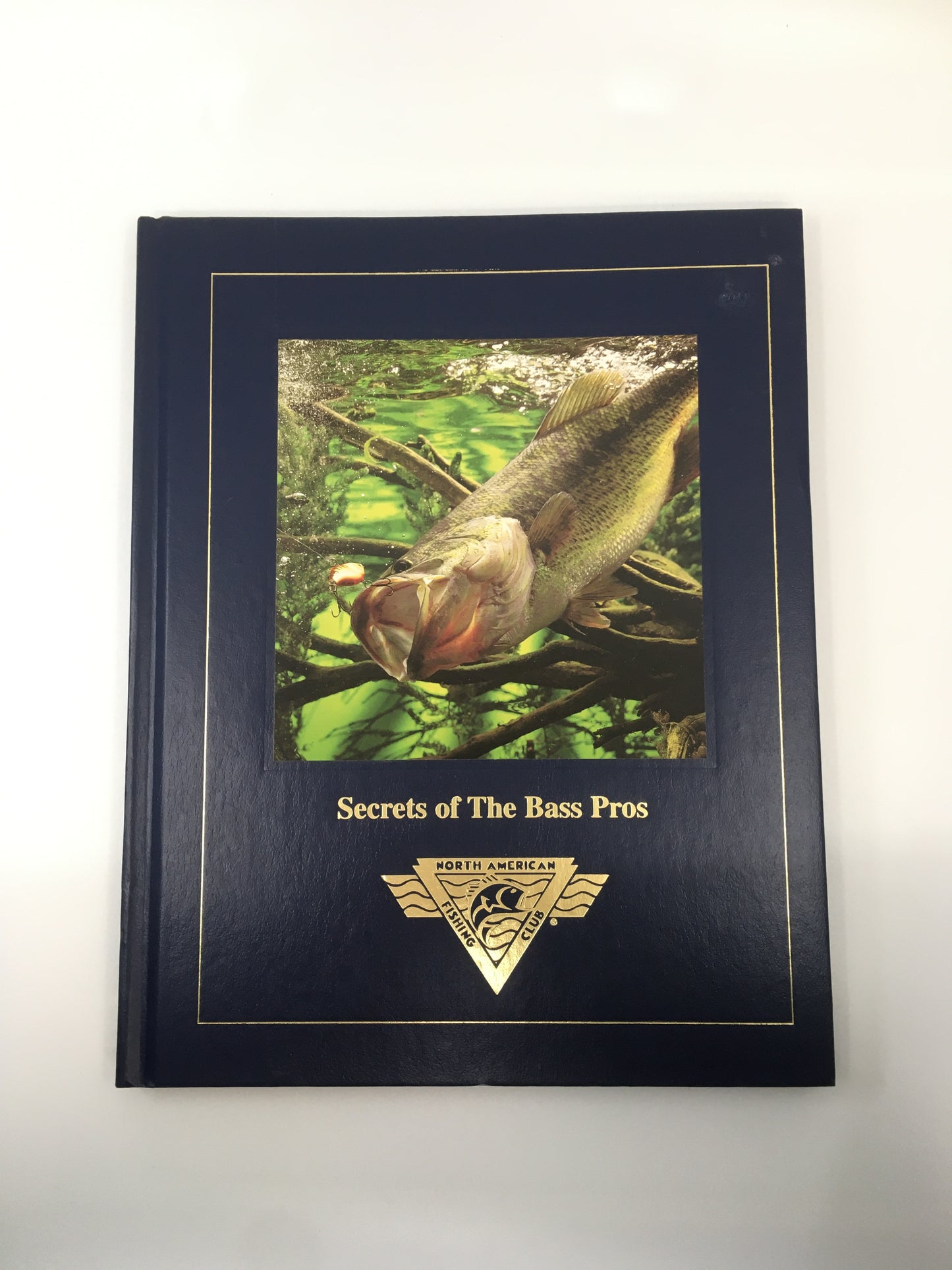 Secrets of The Bass Pros