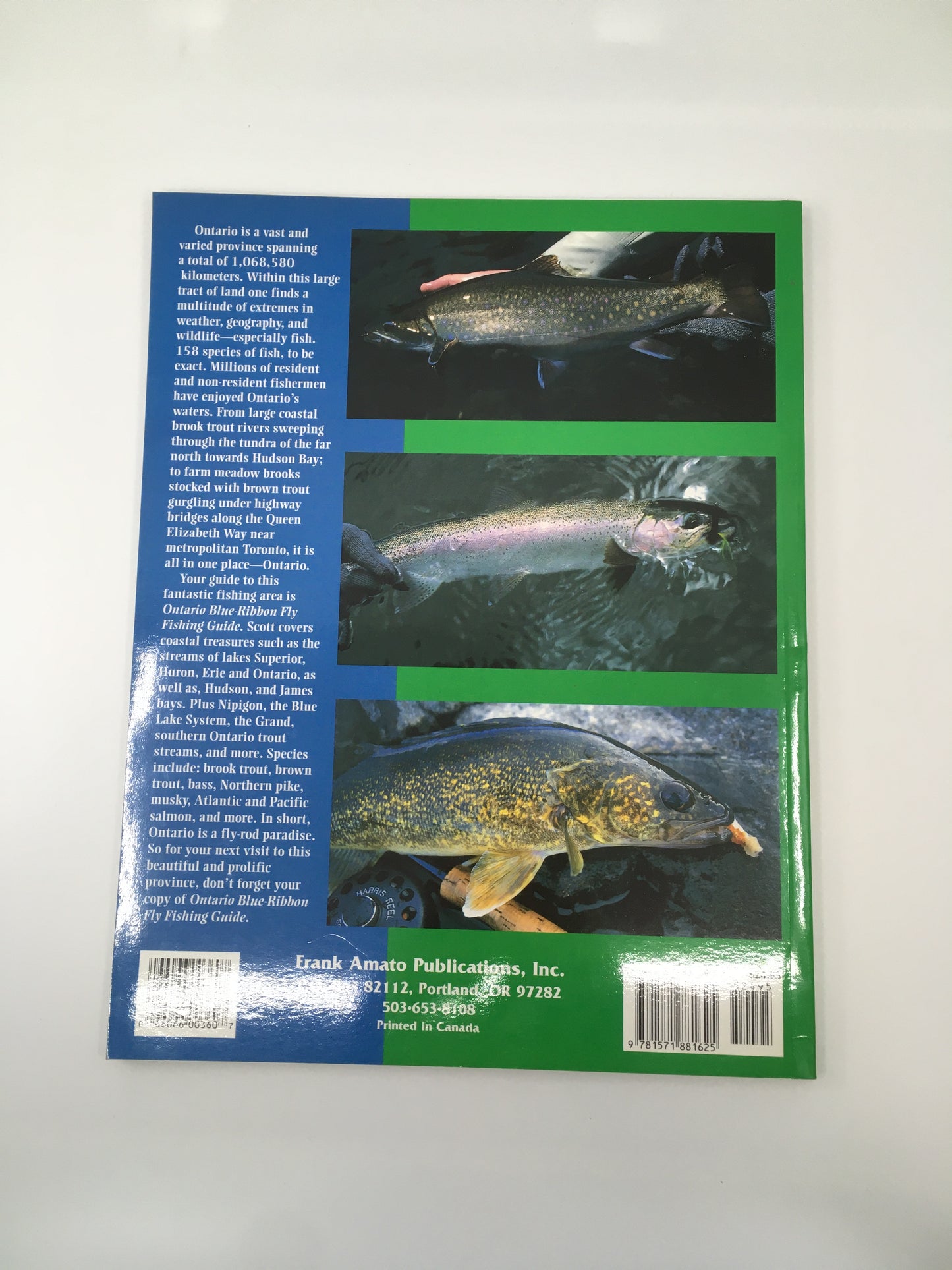Ontario Blue-Ribbon Fly Fishing Guide