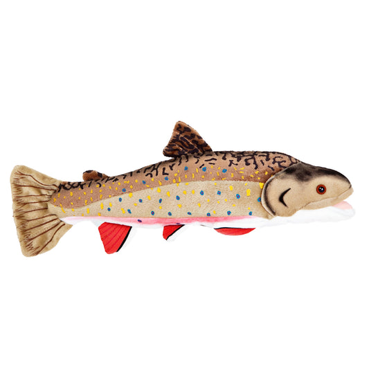 Brook Trout Adoption Kit