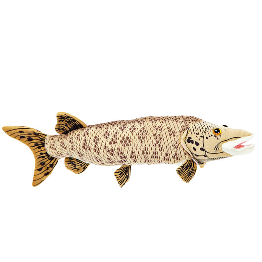 Muskellunge