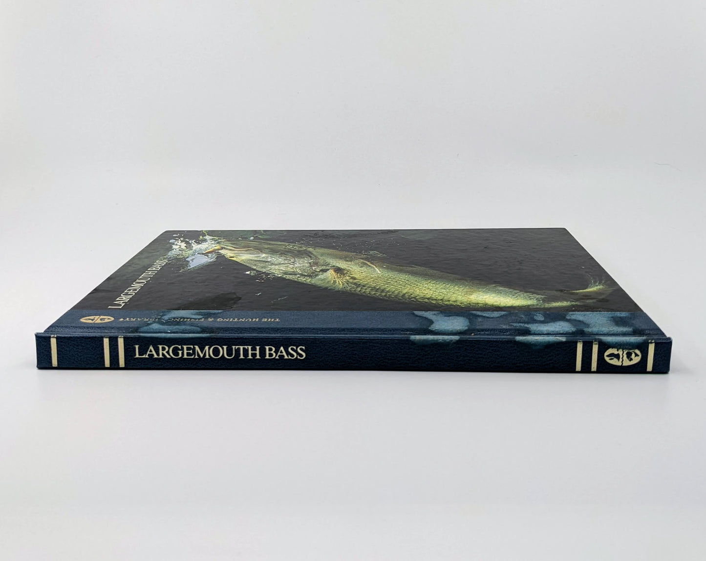 Largemouth Bass