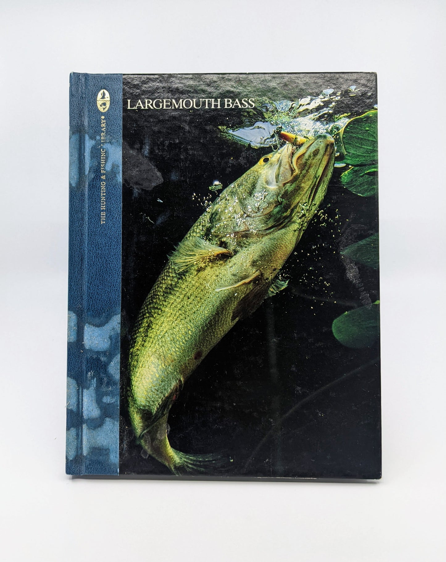 Largemouth Bass