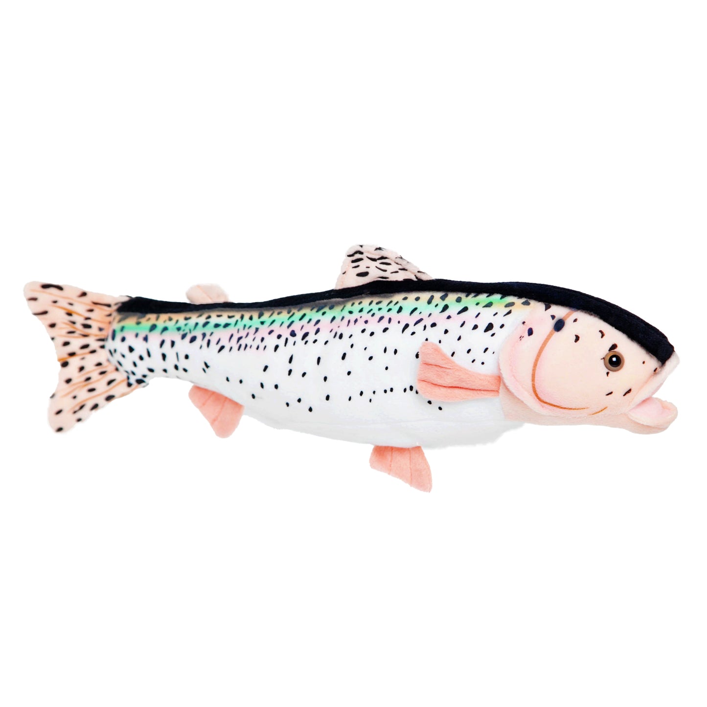 Rainbow Trout